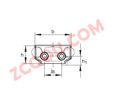 INA?��мƬ ANS.LFS52-NZZ, ʵ�ĵ���