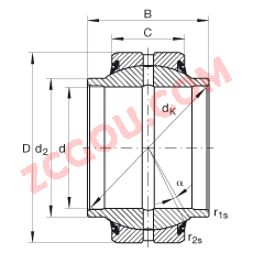 INA?�ؽ���� GE25-HO-2RS, ���� DIN ISO 12 240-1 ��׼, ��ά�������ഽ�ܷ�