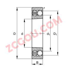 FAG?Ե 1319-K-M-C3,  DIN 630 ׼Ҫߴ, ׶ף׶ 1:12