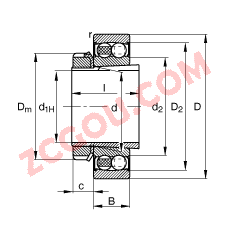 FAG?�Ե�������� 2210-K-2RS-TVH-C3 + H310, ���� DIN 630 �� DIN 5415 ��׼����Ҫ�ߴ�, ��׶�׺ͽ����ף����ഽ�ܷ�
