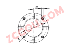 INA?����������ĸ AM30, �н�����