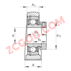 INA?ֱ��ʽ�������Ԫ PASE60-N, �������������ƫ����Ȧ������������У�P ���ܷ�