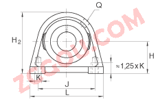 INA?ֱ��ʽ�������Ԫ TSHE45, �������������ƫ����Ȧ������������У�T ���ܷ�