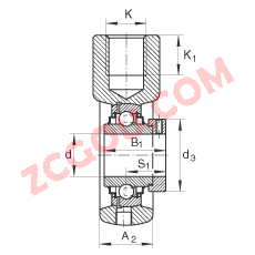 INA?��װʽ�������Ԫ RHE25, �������������ƫ����Ȧ������������У�R �ܷ�