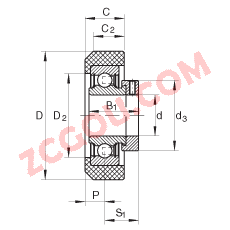 INA?����������� RCRA20/46-FA106, ���𽺲������ƫ����Ȧ��λ�� ���� P ���ܷ�