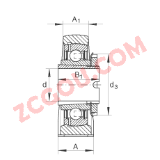 INA?ֱ��ʽ�������Ԫ RASEA35-N, ������������������׵�����������У�R ���ܷ�