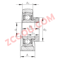 INA?ֱ��ʽ�������Ԫ PSHE45, �������������ƫ����Ȧ������������У�P ���ܷ�