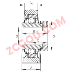 INA?ֱ��ʽ�������Ԫ RSHE55, �������������ƫ����Ȧ������������У�R �ܷ�