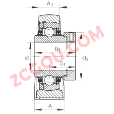 INA?ֱ��ʽ�������Ԫ TSHE45, �������������ƫ����Ȧ������������У�T ���ܷ�