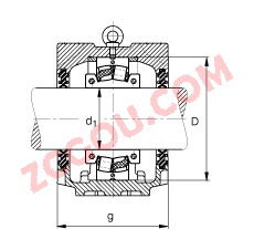 FAGֱʽ SNV250-L + 222SM125-TVPA + DH528,  DIN 736/DIN737 ׼Ҫߴ磬ʷֵĵĹУ˫ܷ⣬֬