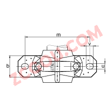 FAGֱʽ SNV080-L + 22208-E1 + DH208,  DIN 738/DIN739 ׼Ҫߴ磬ʷ֣Բ׺ͽ׵ĵĹУ˫ܷ⣬֬