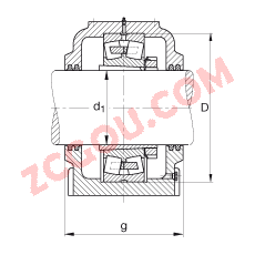 FAGֱ��ʽ����� SD540-N-FZ-BF-L + 22240-B-K-MB, �ʷ֣����ڴ�׶�׺ͽ����׵ĵ��Ĺ�����У�ëձ�ܷ⣬֬��