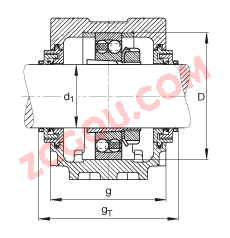 FAGֱʽ SNV100-L + 2309-K-TVH-C3 + H2309X109 + TCV609,  DIN 736/DIN737 ׼Ҫߴ磬ʷ֣׶׺ͽ׵ԵУTaconite ܷ⣬֬