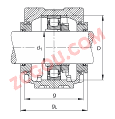 FAGֱʽ SNV080-L + 20208-K-TVP-C3 + H208X105 + TSV508X105,  DIN 736/DIN737 ׼Ҫߴ磬ʷ֣׶׺ͽ׵ĵĹУԹܷ⣬֬