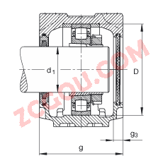 FAGֱʽ SNV062-L + 20206-K-TVP-C3 + H206 + FSV506,  DIN 736/DIN737 ׼Ҫߴ磬ʷ֣׶׺ͽ׵ĵĹУëձܷ⣬֬