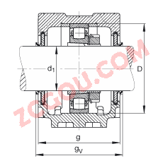 FAGֱʽ SNV140-L + 20216-K-TVP-C3 + H216X214 + DHV516X214,  DIN 736/DIN737 ׼Ҫߴ磬ʷ֣׶׺ͽ׵ĹιУV Ȧܷ⣬֬