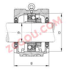 FAGֱʽ SNV240-L + 1322-K-M-C3 + H322X312 + FSV522X312,  DIN 736/DIN737 ׼Ҫߴ磬ʷ֣׶׺ͽ׵ԵУëձܷ⣬֬