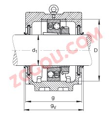 FAGֱʽ SNV215-L + 2320-K-M-C3 + H2320X308 + DHV620,  DIN 736/DIN737 ׼Ҫߴ磬ʷ֣׶׺ͽ׵ԵУVȦܷ⣬֬