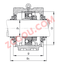 FAGֱ��ʽ����� SNV215-L + 2320-K-M-C3 + H2320X308 + TCV620X308, ���� DIN 736/DIN737 ��׼����Ҫ�ߴ磬�ʷ֣���׶�׺ͽ����׵��Ե�������У�Taconite �ܷ⣬֬������