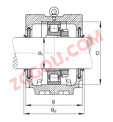 FAGֱʽ SNV270-L + 20230-K-MB-C3 + H3030X503 + DHV530X503,  DIN 736/DIN737 ׼Ҫߴ磬ʷ֣׶׺ͽ׵ĹιУV Ȧܷ⣬֬