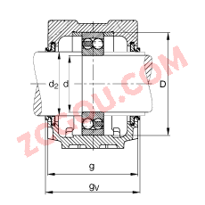 FAGֱʽ SNV100-L + 2309-TVH + DHV309,  DIN 738/DIN739 ׼Ҫߴ磬ʷ֣Բ׺ͽ׵ԵУVȦܷ⣬֬