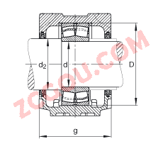 FAGֱʽ SNV062-L + 21305-E1-TVPB + FSV305,  DIN 738/DIN739 ׼Ҫߴ磬ʷ֣Բ׺ͽ׵ĵĹУëձܷ⣬֬