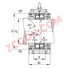 FAG?ֱʽ BND3030-Z-Y-BF-S, ʷ֣ڴԲ׵ĵĹУԹܷ⣬֬